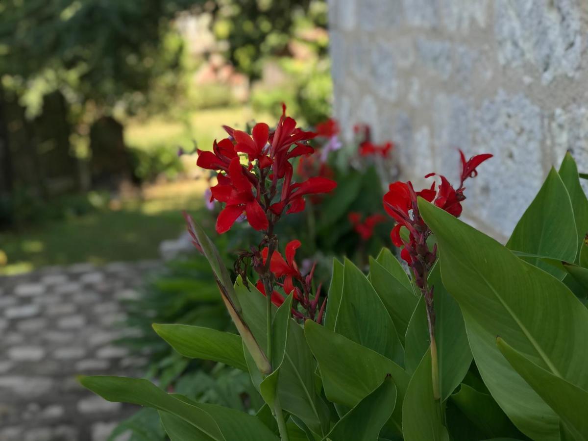 Chateau De Bouniagues Kültér fotó
