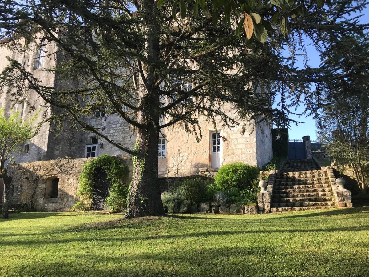 Chateau De Bouniagues Kültér fotó